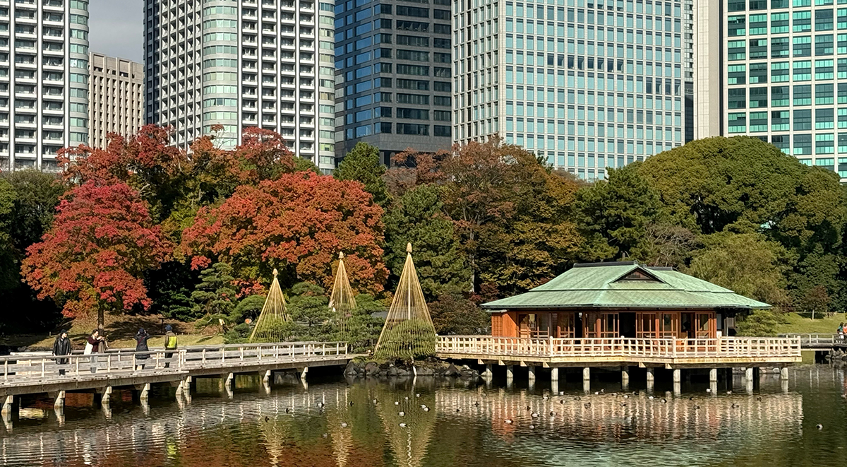 TOKUSHIMA - SCENIC BEAUTY | CHUGOKU＋SHIKOKU×TOKYO (JAPAN)