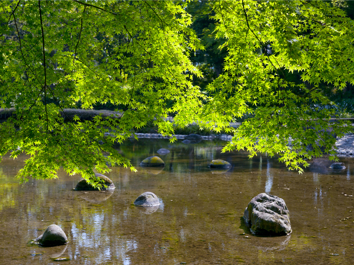 Koishikawa Korakuen Gardens