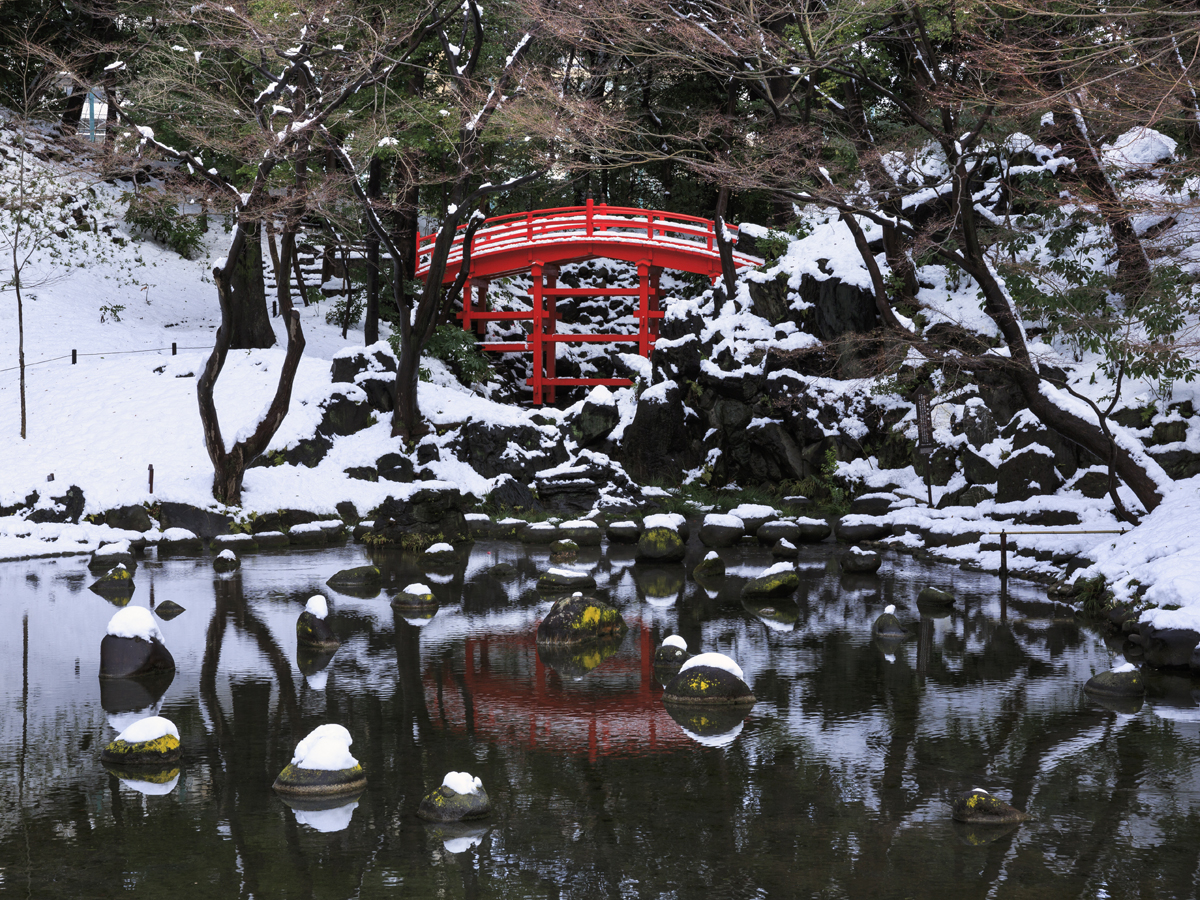 Koishikawa Korakuen Gardens