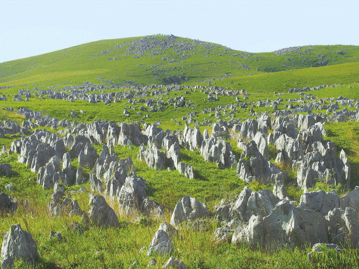 Akiyoshidai Plateau/Akiyoshido Cave