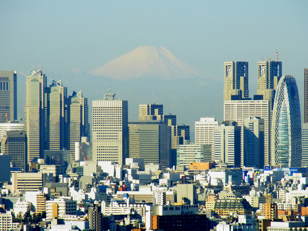 Tokyo Metropolitan Government Building Observation Decks