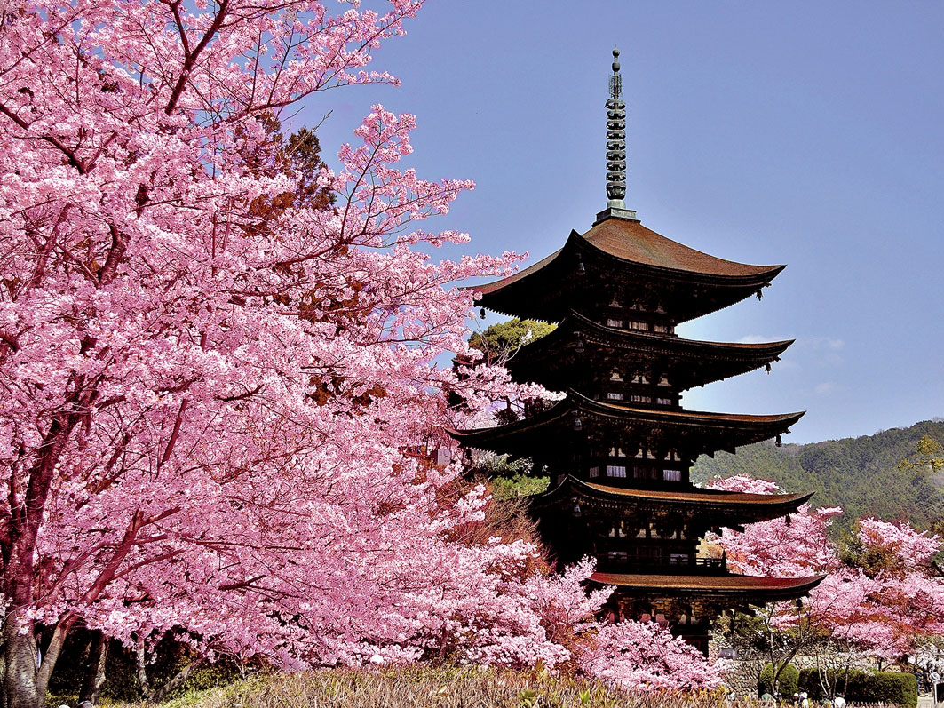 National Treasure Ruriko-ji Five Storey Pagoda