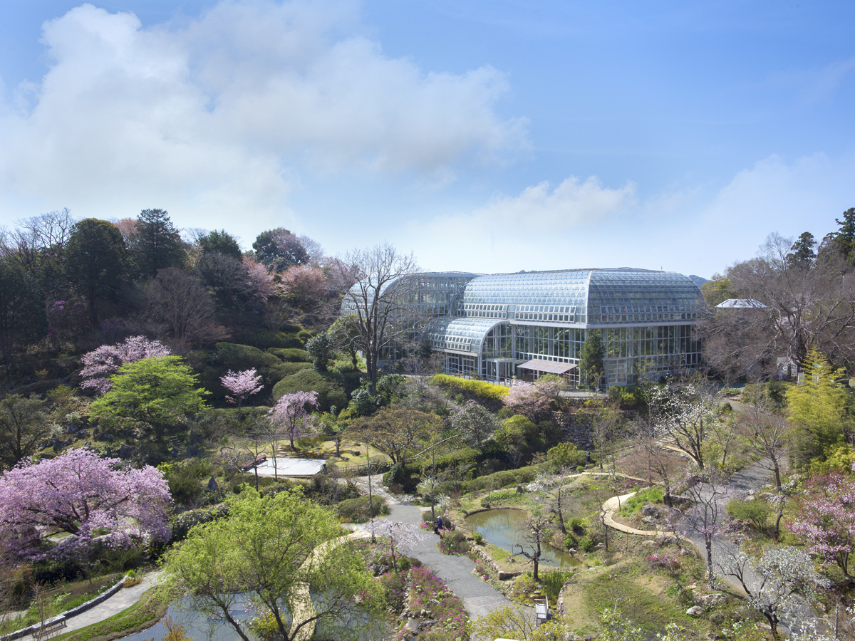 Kochi Prefectural Makino Botanical Garden