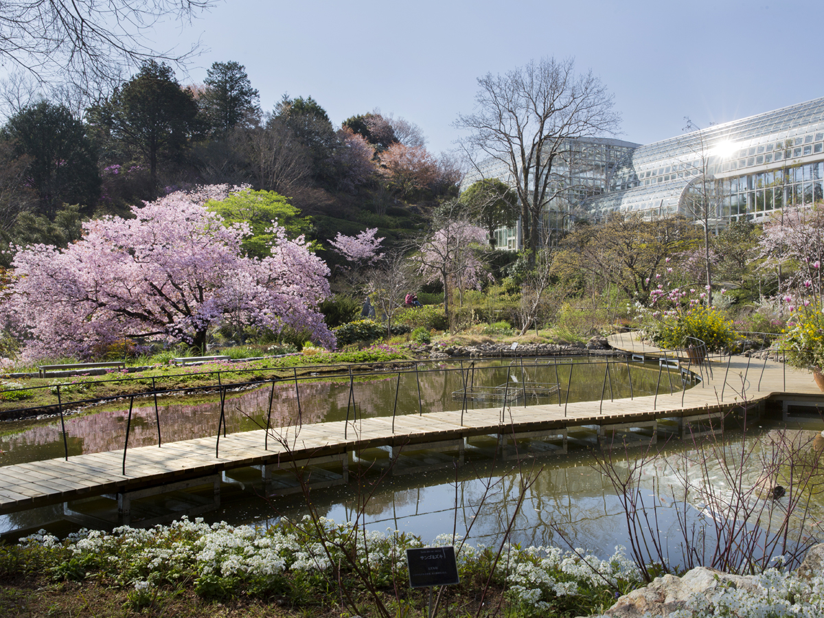 Kochi Prefectural Makino Botanical Garden