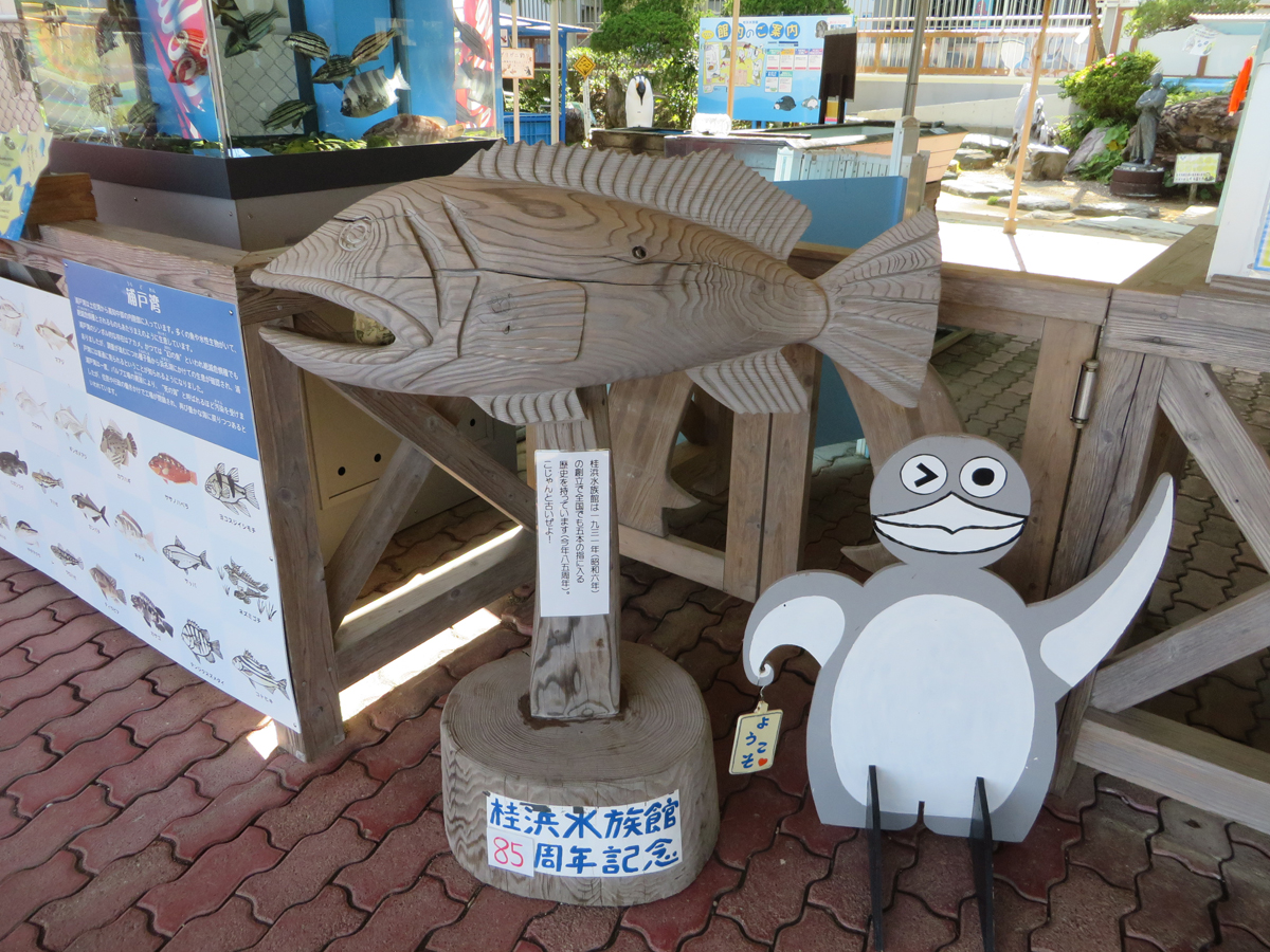 Katsurahama Aquarium