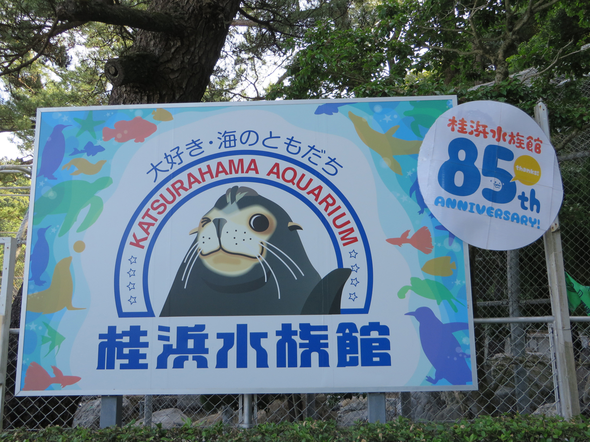 Katsurahama Aquarium