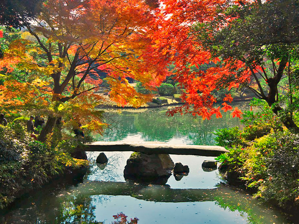 Rikugien Gardens