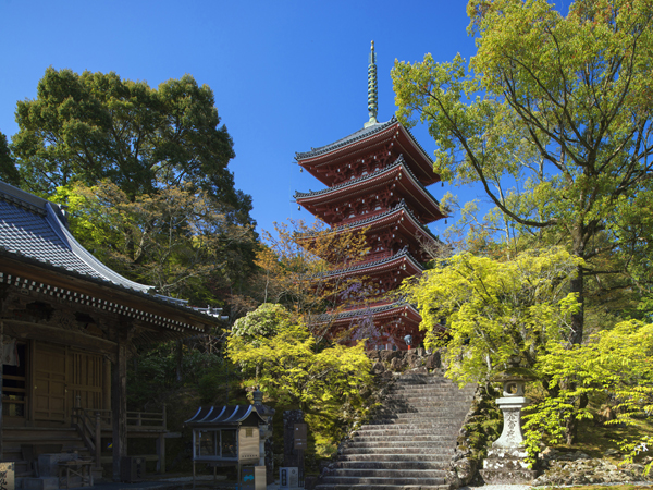 竹林寺 Chugoku Shikoku Tokyo Japan