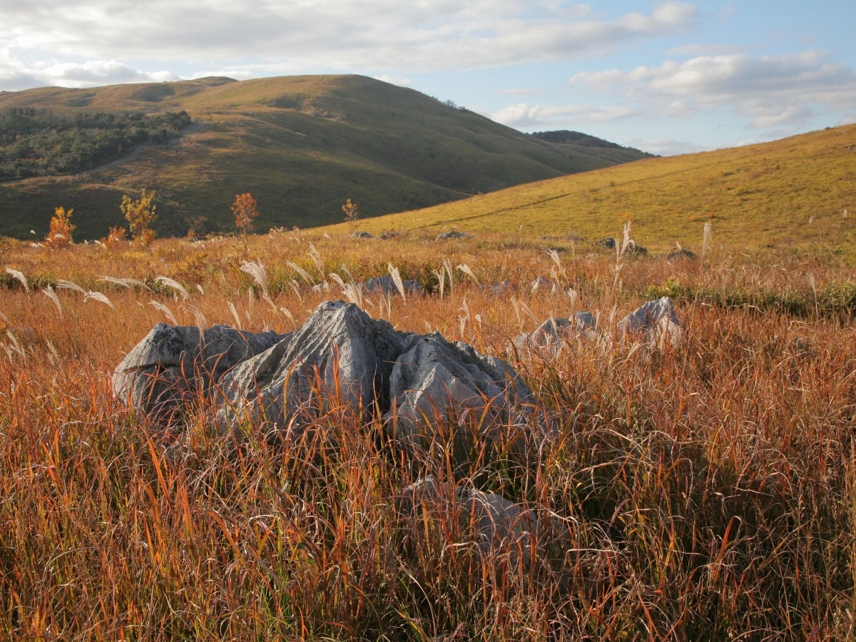 秋吉台 秋芳洞 Chugoku Shikoku Tokyo Japan
