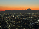 Tokyo Metropolitan Government Building Observation Decks