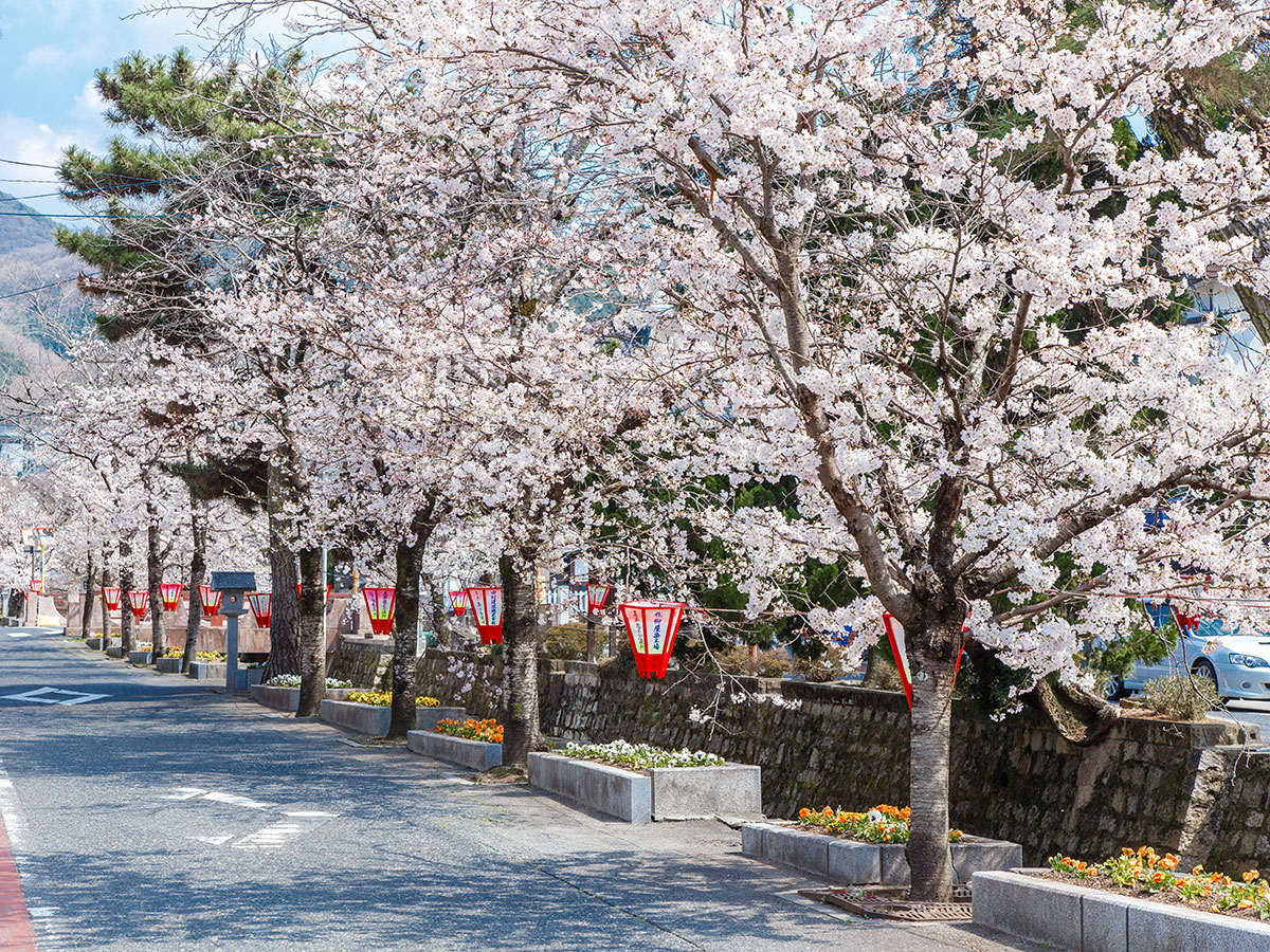 Koyagawa Bikan Historical Quarter