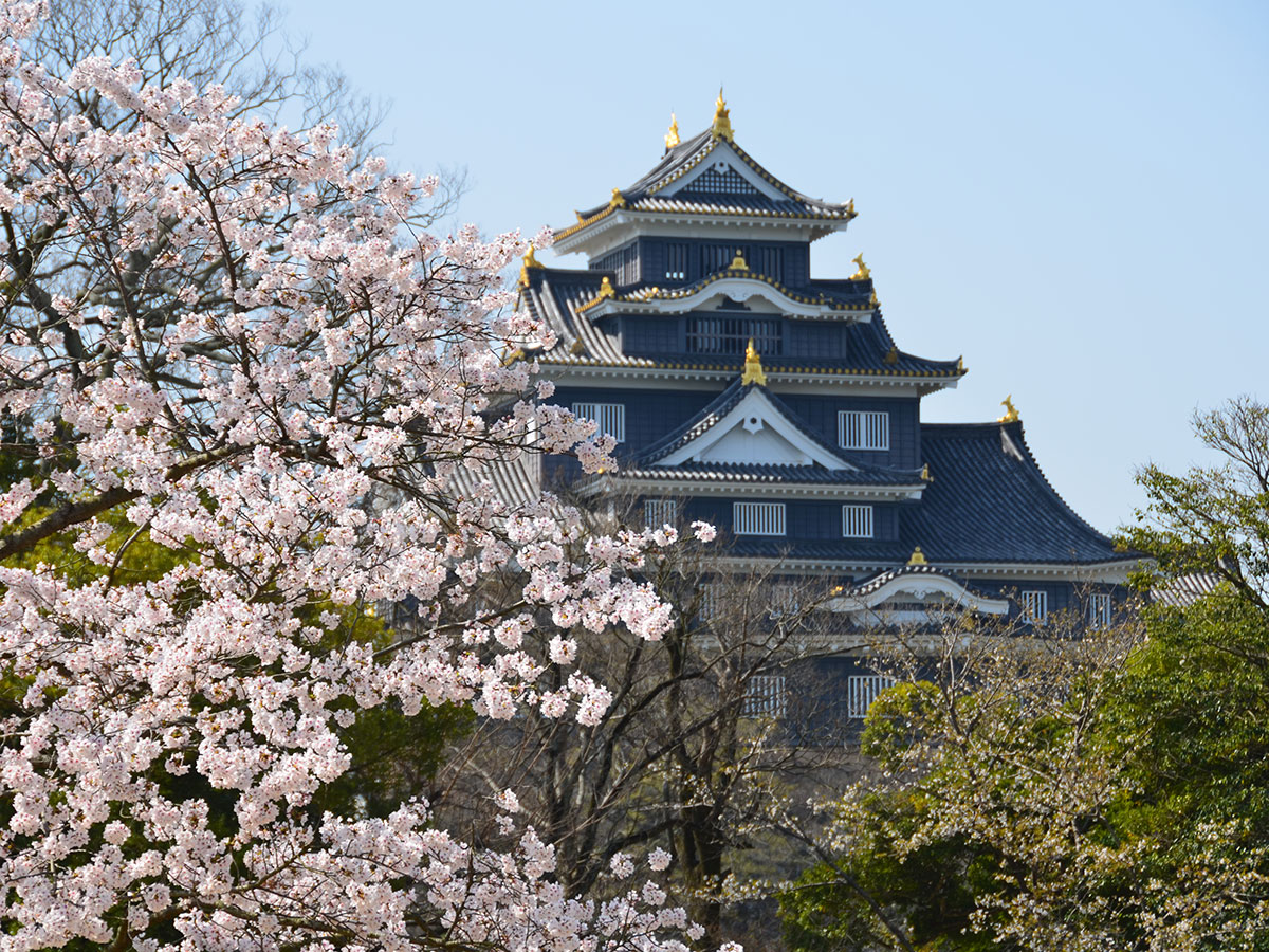 Okayama Korakuen Garden and Okayama Castle