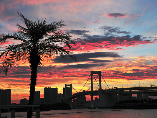 Odaiba Marine Park