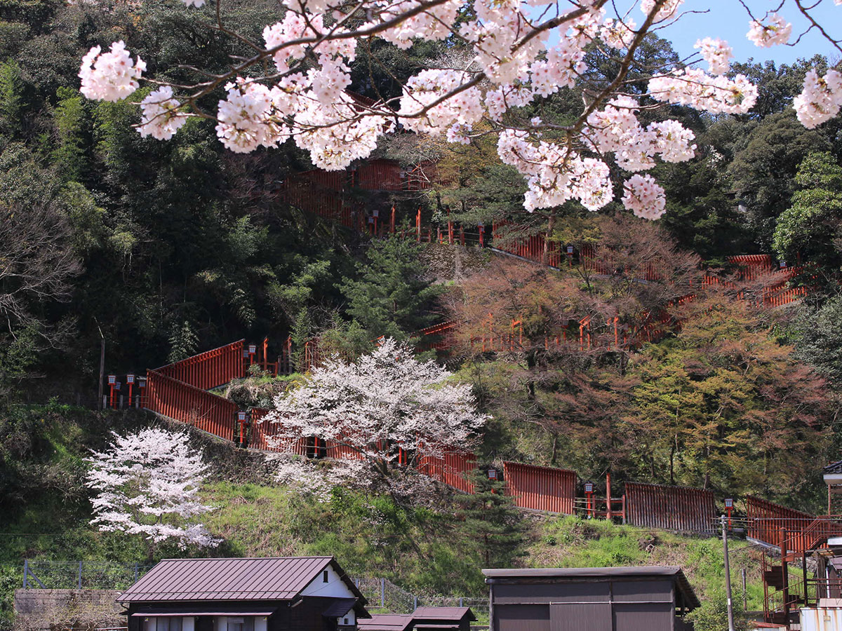 Taikodani Inari Shrine